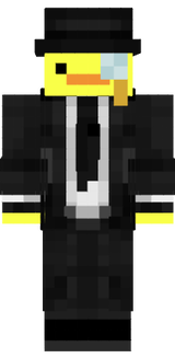 mc skin