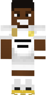 vinii 
