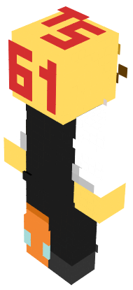Preview of texture: a