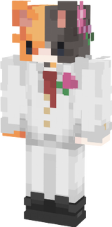GatoBoda