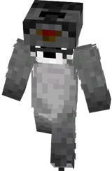 racoon