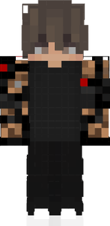 Sjj