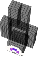 Eye