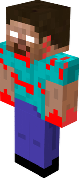 steve