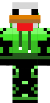 tavuk