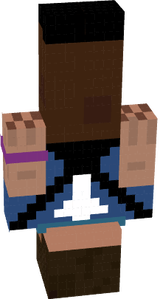 Shahin minecraft pro