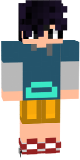 Skin Principal