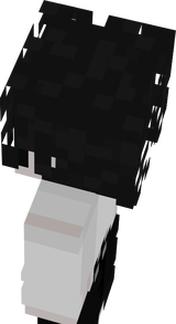 1212121