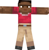 Amir