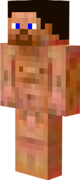 steve