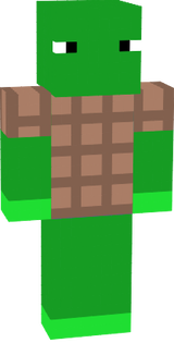 tortue