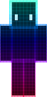 1. skin
