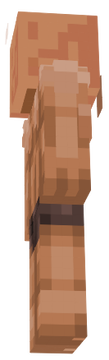 www