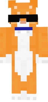 Gatofacha