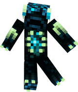 Warden