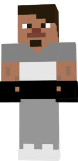skin de fran