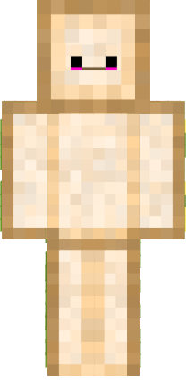 Preview of texture: tost