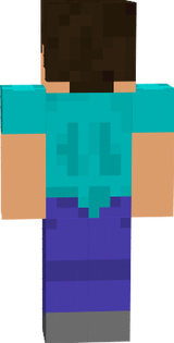 steve 3.0