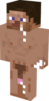 Steve1
