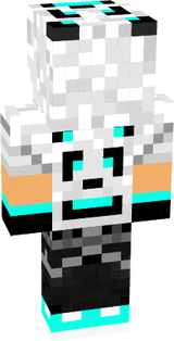 Skin mc