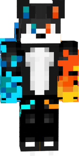 gato 