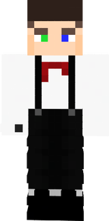skin mc