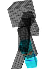 ski