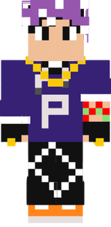 PETRAX2013 V2 updated
