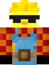 Pollo