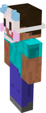 dswa