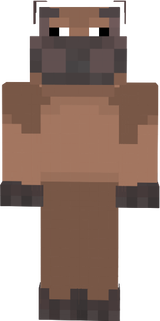 MAIN HIPPO