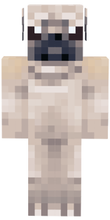 Pug