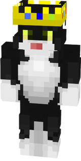 mawell the cat