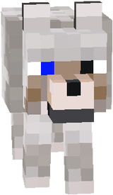 hhghjg