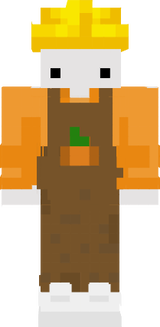 Zyn