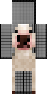 ddwd