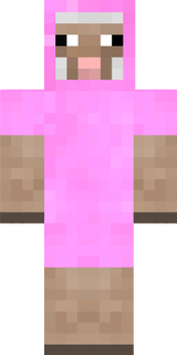 skin minecraft