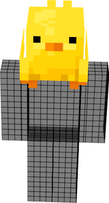 pollito