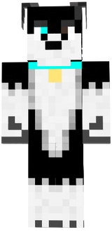 husky chevere