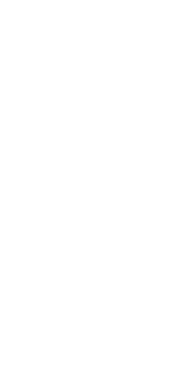 antinull313131