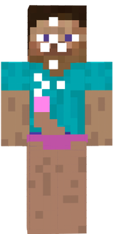 sus steve skin