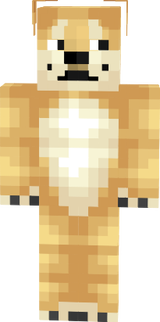 Shiba Inu 3