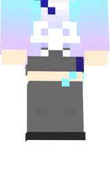 マイクラスキン