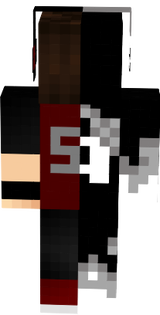 Minecraft skin3