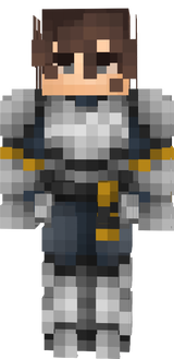 navy and gold armour