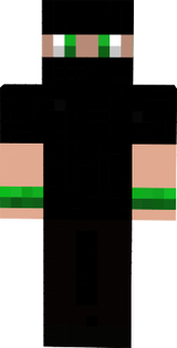 LE NINJA VERT