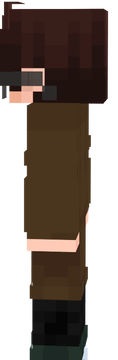 nsm