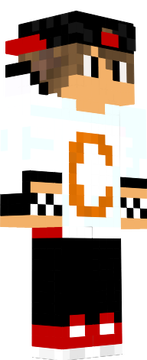 skin minecraft 2