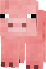pig