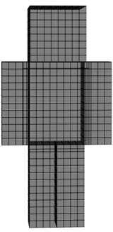 blank